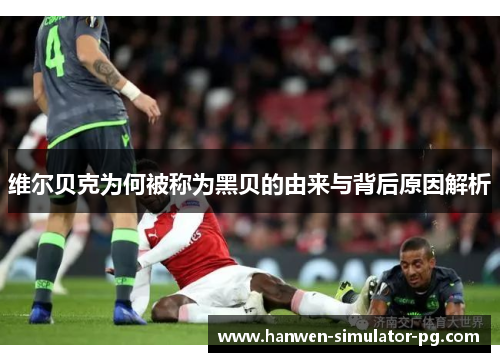 维尔贝克为何被称为黑贝的由来与背后原因解析